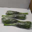 Juxdp 40 Pcs Real Touch Norfolk Pine Branches, Artificial Christmas Green Plants Branch Faux Greenery Stem Fake Pine Picks for Vase DIY Crafts Garland Wreath Xmas Indoor Outdoor Decor (18 Inches)