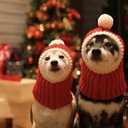 POPETPOP Christmas Dog Hat Crocheted Snood : Dog Knitted Hat Warm Winter Neck Ear Warmer Santa Headwear Christmas Pet s for Small s (Red, XS)