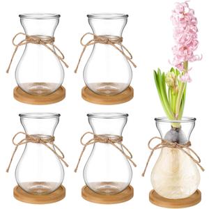 Bulb Glass Vases for Flowers Forcing Hyacinth Clear Decorative Bulb Vase with Round Bamboo Coaster for Home Office Table Decoration(4 Pcs)