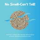 SmartCat All Natural Clumping Cat Litter - Chemical and Dust Free - Alternative to Clay and Pellet Litter - Unscented and Lightweight - 5 Pounds