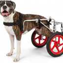 Best Friend Mobility Large Back Leg Dog Wheelchair | 2.0 Design | 2026 Updated Model