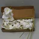 6pcs Orchid Artificial Flowers 29 in Fake White Orchid with Long Stem Faux Phalaenopsis Branches Silk Orchid Flowers for Wdding Party Home Decoration (White)