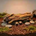 JIHAQUA Aquarium Resin Bark Terrarium Decor, Lizard, Snake or Reptile Hide,Lizard, Spider and Aquarium Fish Hide Cave (Large Bark B)