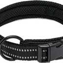Truelove Dog Collar Reflective Premium Duraflex Buckle,High Grade Nylon Webbing No Choke Basic Collars TLC5011(Black,XL)