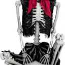 5.4ft Halloween Life Size Pirate Skeleton Realistic Human Full Body Skeleton Props with Movable Joints for Halloween Decoration Haunted House Indoor Outdoor Dcor (Pirate Style)
