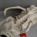 15.5" Animated T-Rex Skeleton Halloween Decoration with Light & Sound