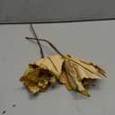 WishTip Christmas Poinsettia 6pcs 10-Inch Large Christmas Flowers Picks Spray Artificial Velvet Glitter Flower Ornaments for Christmas Tree Wreath Garland Decoration (Gold)