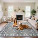 Area Rugs 6x9 Washable Rug, Non-Slip Rugs for Living Room, Low Pile Bordered Rugs Alfombras, Large Print Rubber Backing Indoor Carpet for Home Decor Bedroom Nursery Dining Room, Light Grey