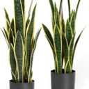 2ft 2-Pack Artificial Snake Plants in Pots, 25.6in Faux Sansevieria, Yellow