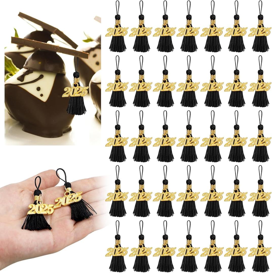 60 Pcs 2025 Mini Tassels for Craft 2.4inch Graduation Tassels Party Favors Mini Bookmark for Graduation Decor, Chocolates Decor, Keychain Making(Black)
