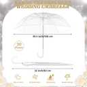 Aodaer Clear Wedding Umbrella with Foldable Storage Box Transparent Auto Open Stick Umbrellas Windproof Large Canopy Umbrella with J Hook Handle for Outdoor Activities, Wedding Photography