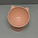 Tilted Elevated Cat Food Bowl - Cats Bowls Whisker Friendly Anti Vomiting Slanted Feeding Bowls Cute Shallow(Tall Cat Bowl-Pink)