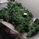 Goplus 9FT Pre-Lit Artificial Christmas Tree Auto-Spread/Close up Branches 11 Flash Modes with Multicolored 1000 LED Lights & Metal Stand (Green)