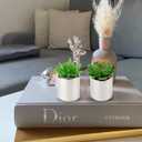Briful Small Artificial Succulents in Pots Set of 2 Realistic Faux Succulents Plants with Silver Ceramic Pots Cute Mini Fake Plants Decor for Modern Home Table Office Desk Bathroom Shelf Decoration (Style #13)