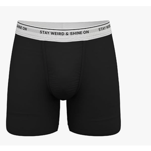 Shinesty Hammock Support Mens Boxer Briefs | Underwear Flyless S