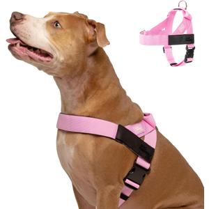 Dog Friendly Co. Dog Harness | Chafe Resistant Webbing, Adjustable Neck & Chest, and Heavy Duty D-Ring | Sturdy, Comfortable, Easy to Use | Pink, Size M