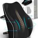 Travel Ease Ergonomic Lumbar Support Cushion, Memory Foam Back Support Cushion for Office Chairs with Skin-Friendly Cover for Comfort (Black)