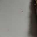 Large 72 x 48 Inch Magnetic Rolling Whiteboard, Double-Sided Dry Erase Board with Stand and Wheels, Mobile White Board for Home, Office, School (White)