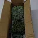 Winlyn Set of 3 Artificial Succulent Plants in Black Concrete Pots Faux Aloe Hops String of Pearls Potted Plants Small Fake Plants Desk Plants for Home Office Desk Kitchen Bathroom Shelf Windowsill