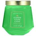 Holly Jolly Candle Candy Cane Lane 14Oz