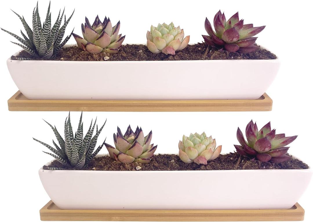 2 pcs 11.1 inch Long Rectangle White Ceramic Succulent Planter Pots/Mini Flower Plant Containers with Bamboo Saucers Plant Window Boxes for Office/Home, 11 x2.28x1.73inch