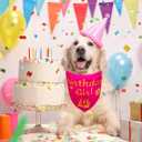 4 x Dog Birthday Bandana Girl Pink, Durable Triangle Reversible Scarf Bibs Handkerchief for Puppy Pet, Dogs Party Accessories for Small Medium Large