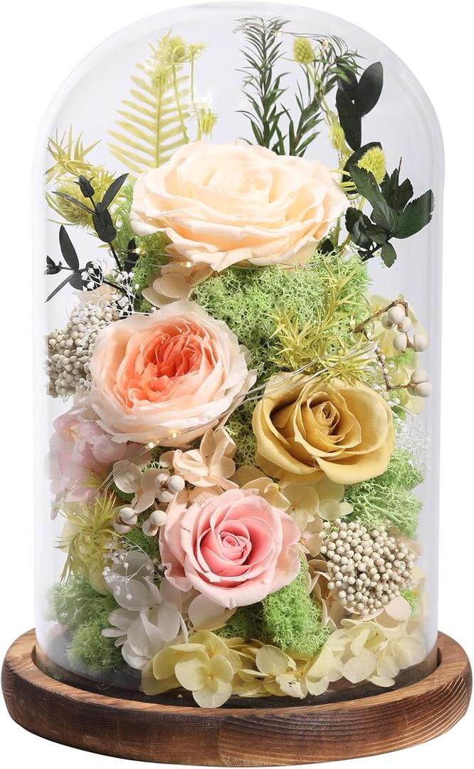 lovenfold Flowers for Delivery Preserved Flowers Rose in Glass Dome,Champagne Rose Forever Flowers Birthday Gifts for Women Mom Grandma Friend Gifts for Her,Home Decor