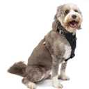Kurgo Enhanced Strength Tru-Fit Dog Car Harness - Pet Travel Safety Harness - Crash Test Certified Fit - Five Point Adjustment - Secure Buckle - Padded Chest - Black - Large (Large (Pack of 1))