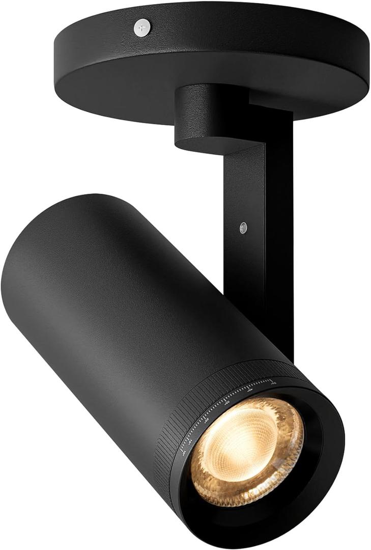 Aisilan Black LED Zoomable Ceiling Spotlight 12W Dimmable Adjustable Beam Angle 10-55 Swivelable Angle CRI 97 Matt Aluminum Directional Accent Lamp for Corridor Mural Living Room, Warm White 3000K (12W-3K-Dimmable)