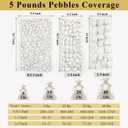 FANTIAN 5 lbs White Pebbles for Indoor Plants, 0.5-1 Inch Pea Gravel Stones for Planters, Decorative River Rocks for Succulent, Cactus, Vases, Aquariums, Crafting and Garden Landscaping