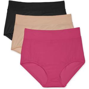 Warner's Women's Blissful Benefits Dig-free Microfiber Brief 3-pack, Large