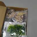 Lohoee 34Pcs Desert Animal Figurines Set Breadfruit Cactus Model Trees Kit with Camel Fox Lizard Snake Rock Reptiles Playset Toys for Cake Toppers School Projects or Birthday Gift