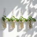 Baderke 9 Sets Window Hanging Propagation Stations 3.54'' Plastic Propagation Vases with Suction Cup & Traceless Nail, Propagated Plant Holder Wall Jars for Office Home Garden Decoration Lover Gift