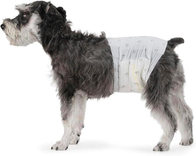 Basics Male Dog Diapers, Ultra Absorbent Disposable Wrap with Leak Proof Protection, Wetness Indicator, Secure Fit, Breathable, Medium, 30 Count