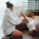 Leekalos Recovery Suit for Dogs After Surgery,Soft Breathable Dog Bodysuit Surgical Recovery Suit,Male Female Dog Neuter Spay Suits Anti Licking Wounds Jumpsuits for Small Medium Large Dogs (Rainbow)