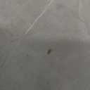 DEXI Bath Mat 17x43, Non Slip Quick Dry Rugs, Super Absorbent Ultra Thin Marble Bathmat, Washable Rubber Mats for Shower Floor, in Front of Bathtub, Sink, Bathroom Accessories Decor, Light Grey