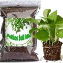 Doter Organic Pothos Soil Mix 1qt, Indoor Plants Potting Mix for All Potted Pothos, Grow Healthy houseplants Indoors