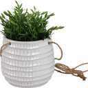 Sagebrook Home Ceramic 6" Dimpled Hanging Planter, Beige