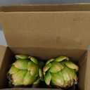 Timgle 6 Pcs Green Artificial Artichokes Fake Vegetables and Fruits for Summer Kitchen Wedding Bowl and Vase Decorations (Large)