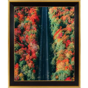 Space Art Deco, 16x20 Ornate Picture Frame Without Mat for 16x20 Photo,Shatter-Resistant Glass Sawtooth Hangers Wall Mount Display(Color Black/Classic Gold)