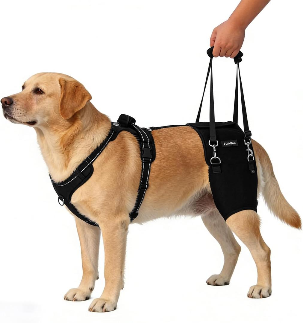 Dog Hip Brace for Hip Dysplasia & Arthritis - Adjustable Support Wrap with Removable Pads, Lifting Handle & Stabilizing Straps for Large Medium Dogs - Relief for Pain, Weakness & Lameness(L)