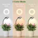Wolezek 2 in 1 Grow Lights for Indoor Plants, 3 Colors Plant Lights for Indoor Growing with 360 Gooseneck, 48 LEDs Full Spectrum Plant Grow Lights Indoor, 6/12/16H Timer, 5 Brightness, Black 1 Pack