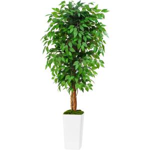 6ft Ficus Artificial Tree with 3 Natural Curved Trunks, 74" Tall Lush Faux Tree for Home Decor Indoor, Green Lifelike Fake Ficus Tree with White Planter Pot