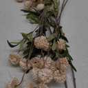 Floroom 5pcs Beige Faux Silk Mums Artificial Flowers, Bulk Fake Small Mini Chrysanthemums with Stems for DIY Champagne Wedding Centerpieces Floral Arrangements Vase Fillers Home Decorations