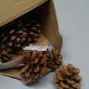 JOHOUSE 18PCS Hanging Natural Pine Cones (1.5"2.5"), Rustic Pinecones with Strings for Fall Garland, Christmas Tree Ornaments, Wreath Making, Vase/Bowl Filler Winter Decor (Multi Color)