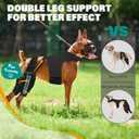 Dog Knee Brace Double Leg Support with Vest - Orthopedic Joint Stabilizer for ACL Tear, Arthritis, Patella Recovery - Adjustable Non-Slip Recovery Brace for Small Middle Large Dogs (XXL)