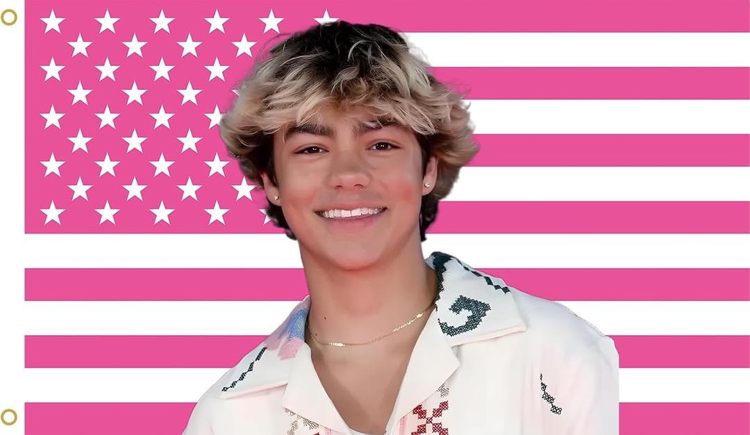 WENWELL Malachi American Flag Tapestry, Pink Daniel USA Design, 3x5 Feet, Polyester with Brass Grommets, Barton Wall Decor for Bedroom