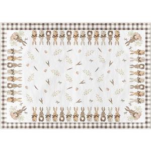 Artoid Mode Buffalo Plaid Bunny Carrot Easter Area Rug, Spring Home Decor Low-Profile Washable Area Rugs for Entryway Bedroom Living Room Laundry Room Indoor 5x7 Feet (White/Brown)