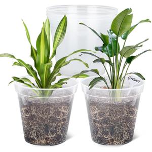 GREANER Clear Plastic Plant Pots, Plastic Planter with Drainage Holes, Nursery Pots for Indoor Outdoor with 20 Plant Labels, 12 Inch(Pack of 5)