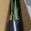 Lifelike Bird of Paradise Artificial Plant 4ft Faux Banana Leaf Tree with 9 Trunks for Home Decor - Perfect Indoor Silk Floor Plant for Living Room, Office, and Bedroom Ambiance Enhancement